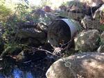 Culvert Crossing, Trib To Salmon Falls River, Acton, Maine