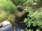 Culvert Crossing, Trib To Salmon Falls River, Berwick, Maine