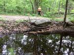 Culvert Crossing, Wells, Maine