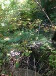 Culvert Crossing, Trib To Milton Three Ponds (Salmon Falls Riv), Lebanon, Maine