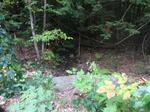 Culvert Crossing, Trib To Middle Branch Mousam, Waterboro, Maine