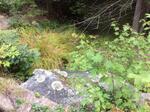 Culvert Crossing, Trib To Middle Branch Mousam, Waterboro, Maine
