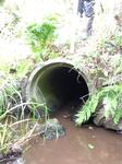 Culvert Crossing, Biddeford, Maine