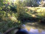 Culvert Crossing, Cuts Ridge Brook, Eliot, Maine