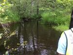Culvert Crossing, Berwick, Maine