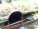 Culvert Crossing, Berwick, Maine