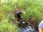 Culvert Crossing, Kennebunk, Maine