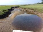 Culvert Crossing, Kennebunk, Maine