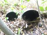 Multiple Culvert Crossing, Trib To Stacey Creek, Eliot, Maine