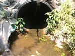 Culvert Crossing, Saco, Maine