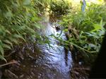 Culvert Crossing, Saco, Maine