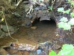 Culvert Crossing, Saco, Maine
