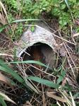 Culvert Crossing, Kittery, Maine