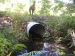 Culvert Crossing, Trib To Salmon Falls River, Berwick, Maine