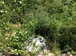 Culvert Crossing, Trib To Salmon Falls River, Berwick, Maine