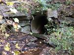 Culvert Crossing, Lebanon, Maine