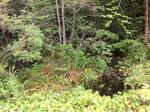 Culvert Crossing, Shapleigh, Maine