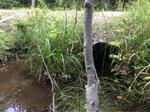 Multiple Culvert Crossing, Shapleigh, Maine