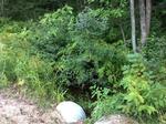 Multiple Culvert Crossing, Shapleigh, Maine