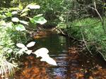 Culvert Crossing, Pine Hill Brook, Berwick, Maine