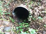 Culvert Crossing, Acton, Maine