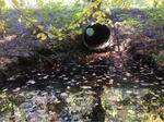 Culvert Crossing, Moulton Brook, York, Maine