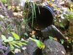 Culvert Crossing, Trib To Little River, Acton, Maine