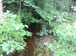Culvert Crossing, Pine Hill Brook, Berwick, Maine