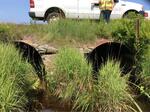 Multiple Culvert Crossing, Bush Brook, Biddeford, Maine