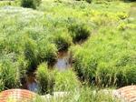 Multiple Culvert Crossing, Bush Brook, Biddeford, Maine