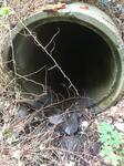 Culvert Crossing, Kittery, Maine
