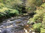 Culvert Crossing, Worsted Brook, Berwick, Maine