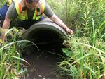 Culvert Crossing, York, Maine