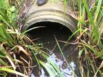 Culvert Crossing, York, Maine