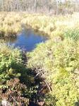 Culvert Crossing, Trib To Hay Brook, Sanford, Maine