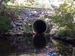 Culvert Crossing, Stevens Brook, Wells, Maine