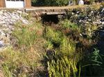 Culvert Crossing, Alfred, Maine