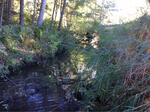 Culvert Crossing, Alfred, Maine