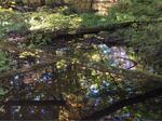 Multiple Culvert Crossing, Trafton Brook, Alfred, Maine
