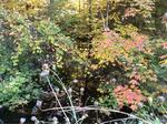 Multiple Culvert Crossing, Trafton Brook, Alfred, Maine