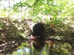Culvert Crossing, Perkins Marsh, Sanford, Maine