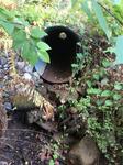 Culvert Crossing, Lebanon, Maine