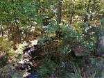 Culvert Crossing, Lebanon, Maine
