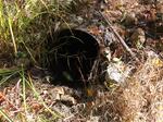 Culvert Crossing, Lebanon, Maine