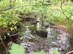Culvert Crossing, Shapleigh, Maine