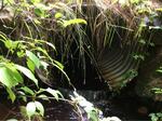 Culvert Crossing, Shapleigh, Maine