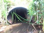 Multiple Culvert Crossing, York, Maine
