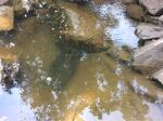 Multiple Culvert Crossing, York, Maine