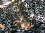 Culvert Crossing, Saco, Maine