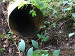 Culvert Crossing, York, Maine